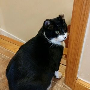 Meet your Posher, Chaneun